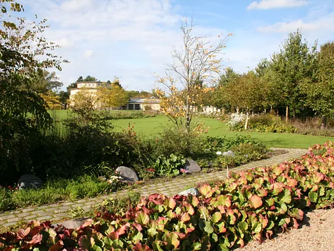 Naturkirkegården